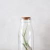 PLANT Air i glas Sale