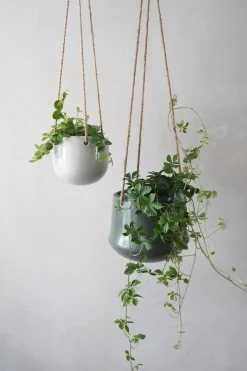 PLANT Ava hængekrukke Best
