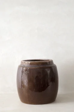 PLANT Berit, brun ø 12 cm Online