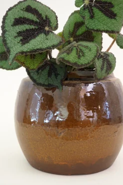 PLANT Berit krukken, brun ø 22 cm Outlet