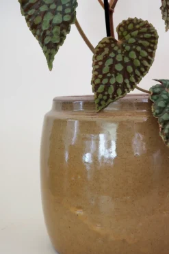 PLANT Berit krukken, mustard, ø 22 cm Discount