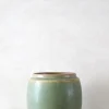 PLANT Berit, lysegrøn, ø12 cm Clearance