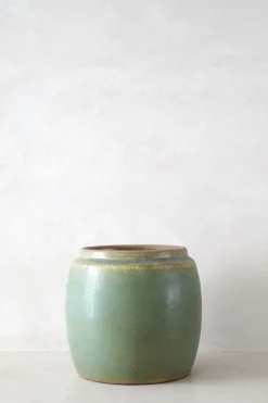 PLANT Berit, lysegrøn, ø12 cm Clearance