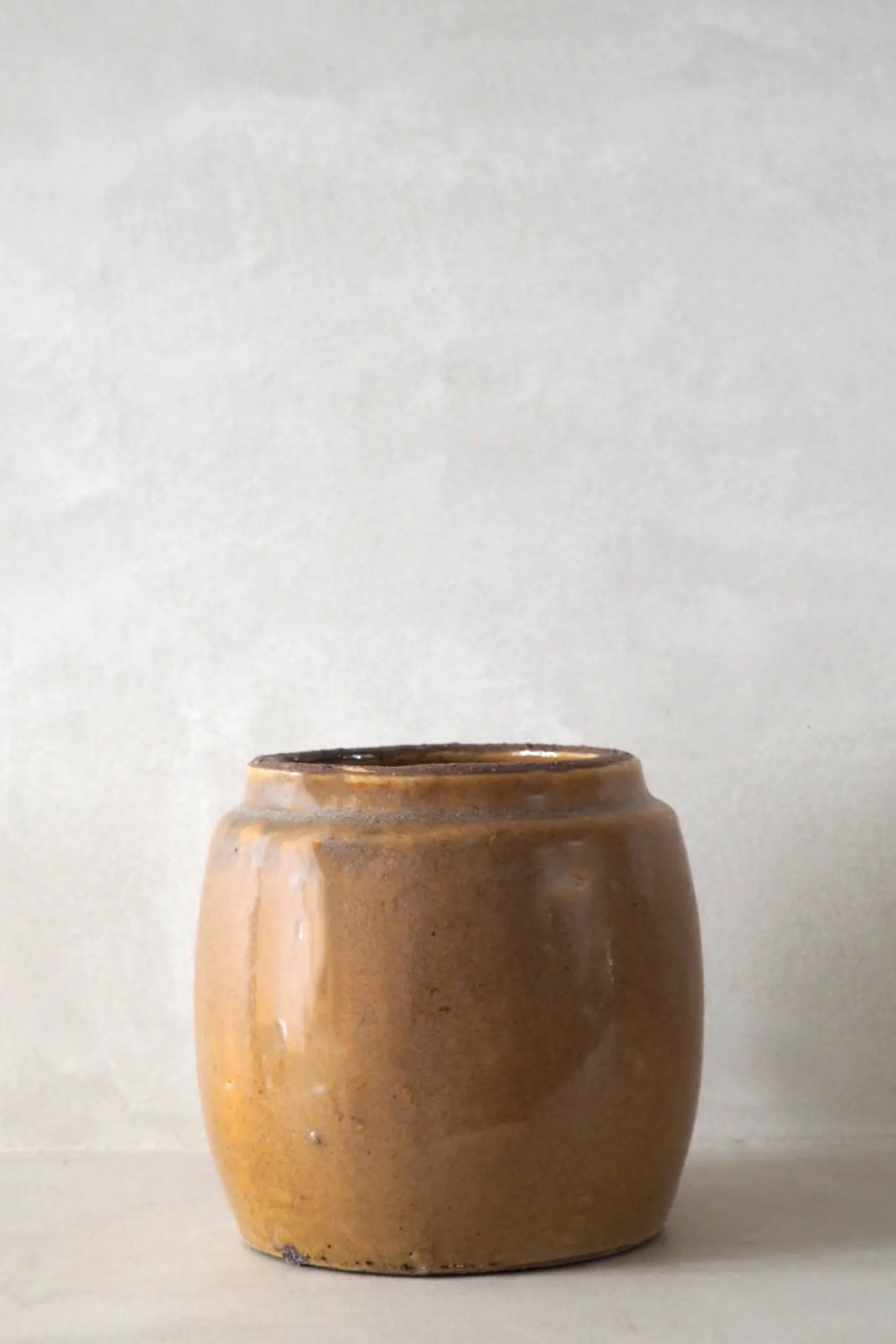 PLANT Berit, mustard ø12 cm Discount