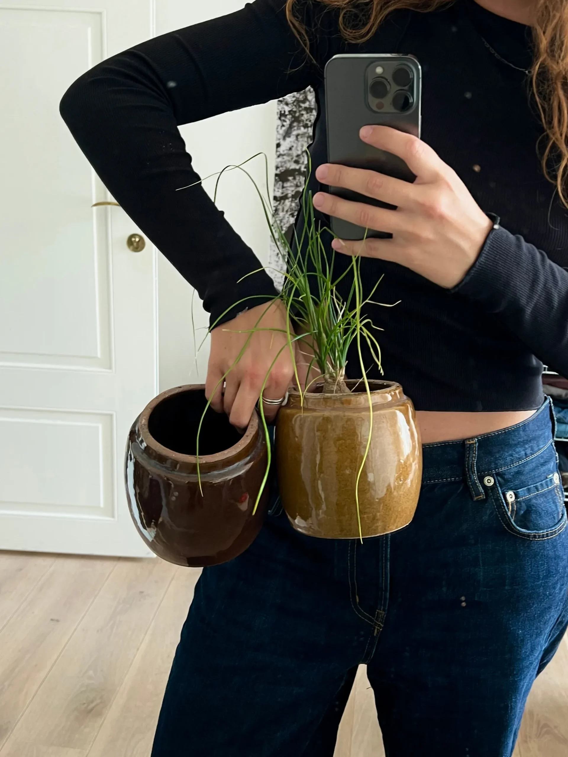 PLANT Berit, mustard ø12 cm Discount