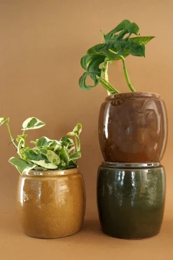 PLANT Berit, mustard ø12 cm Discount