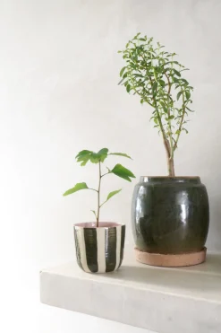 PLANT Berit, olivengrøn ø12 cm New
