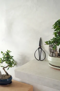 PLANT Bonsai saks, stor Best