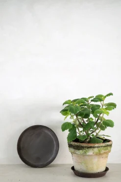 PLANT Brun underskål Best