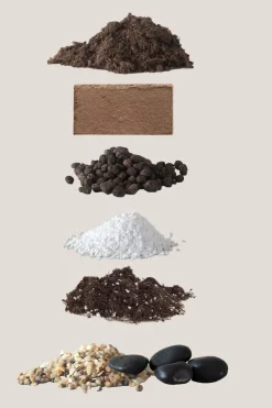 PLANT Bundle : Essential omning Clearance