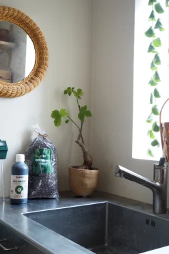 PLANT Bundle : Pro epleje Clearance