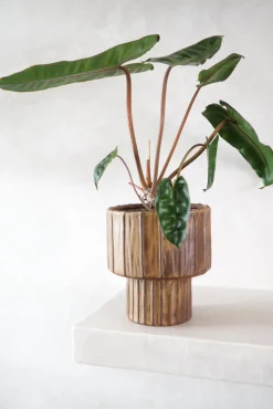 PLANT Elitta krukke Sale
