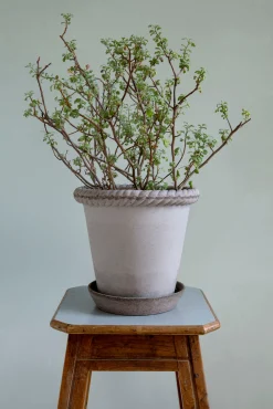 PLANT Emilia krukke, raw grey Clearance