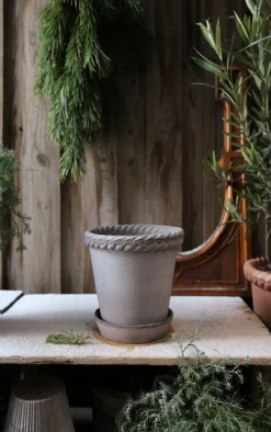 PLANT Emilia krukke, raw grey Clearance