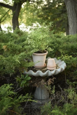 PLANT Emilia krukke, raw rosa New