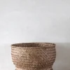 PLANT Flet krukke, stor Hot