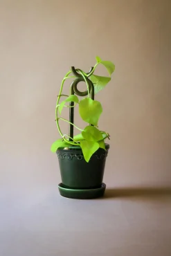PLANT FOLK oni estøtte, grøn Hot