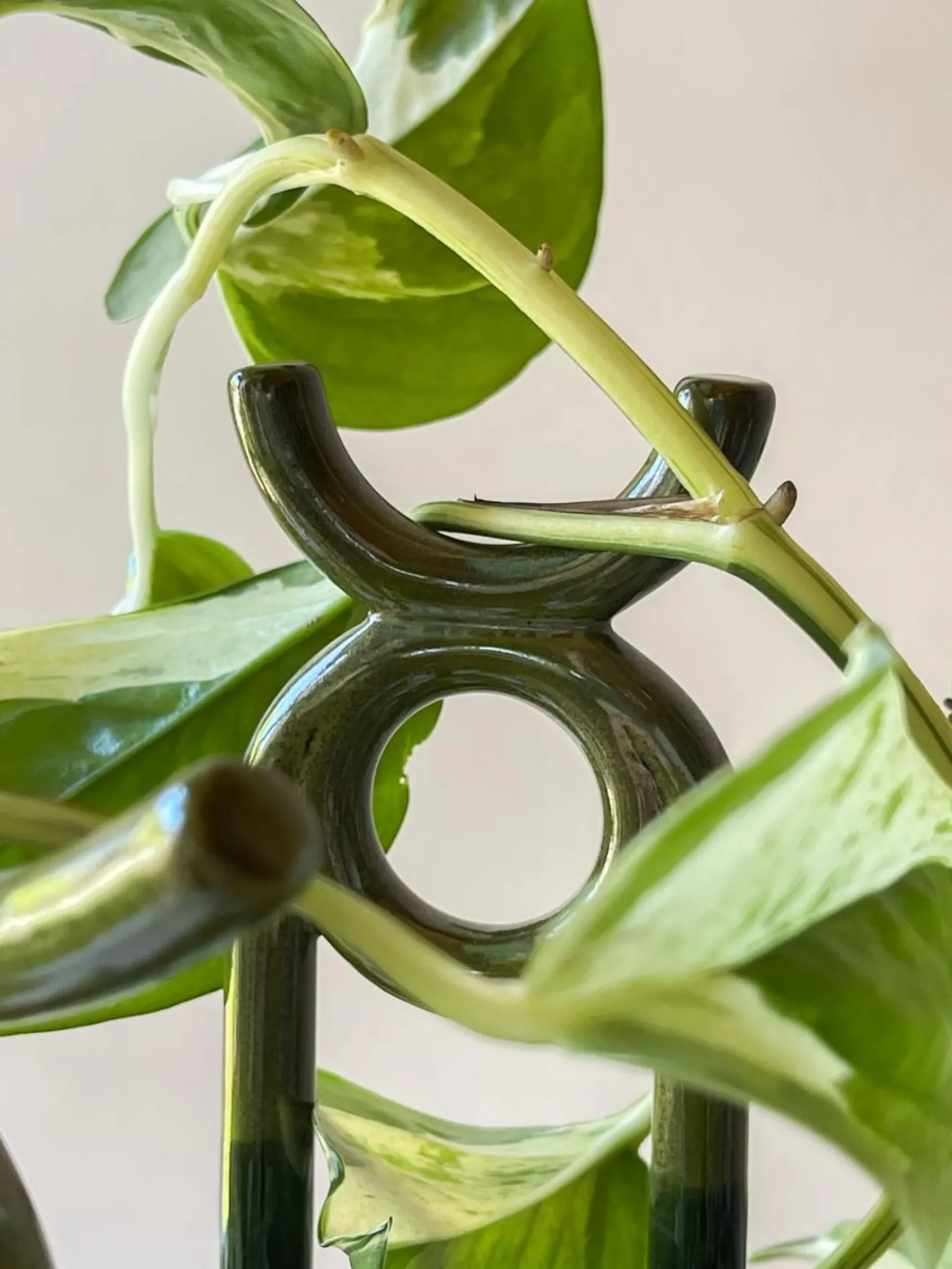 PLANT FOLK oni estøtte, grøn Hot