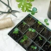 PLANT Forspiringsbakke - W.E.T Seed Pot30 Sale