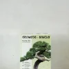 PLANT Frø - Bonsai, DIY kit Online