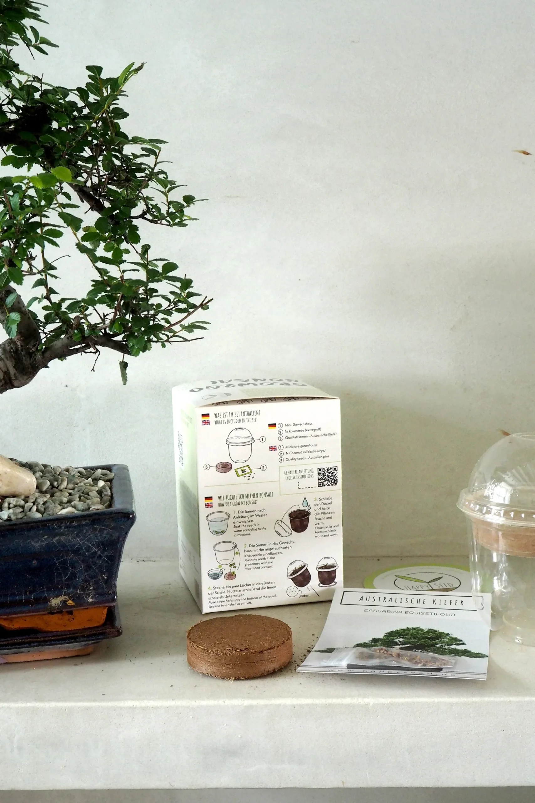PLANT Frø - Bonsai, DIY kit Online