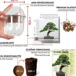 PLANT Frø - Bonsai, DIY kit Online