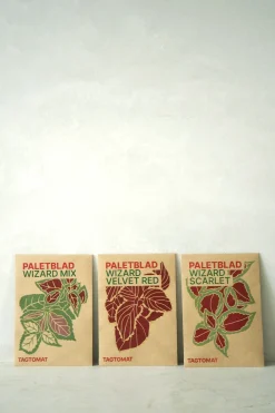 PLANT Frø - Paletblad, Wizard mix Clearance