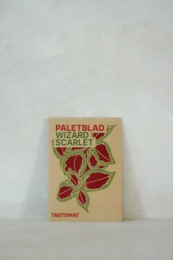 PLANT Frø - Paletblad, Wizard Scarlet Hot