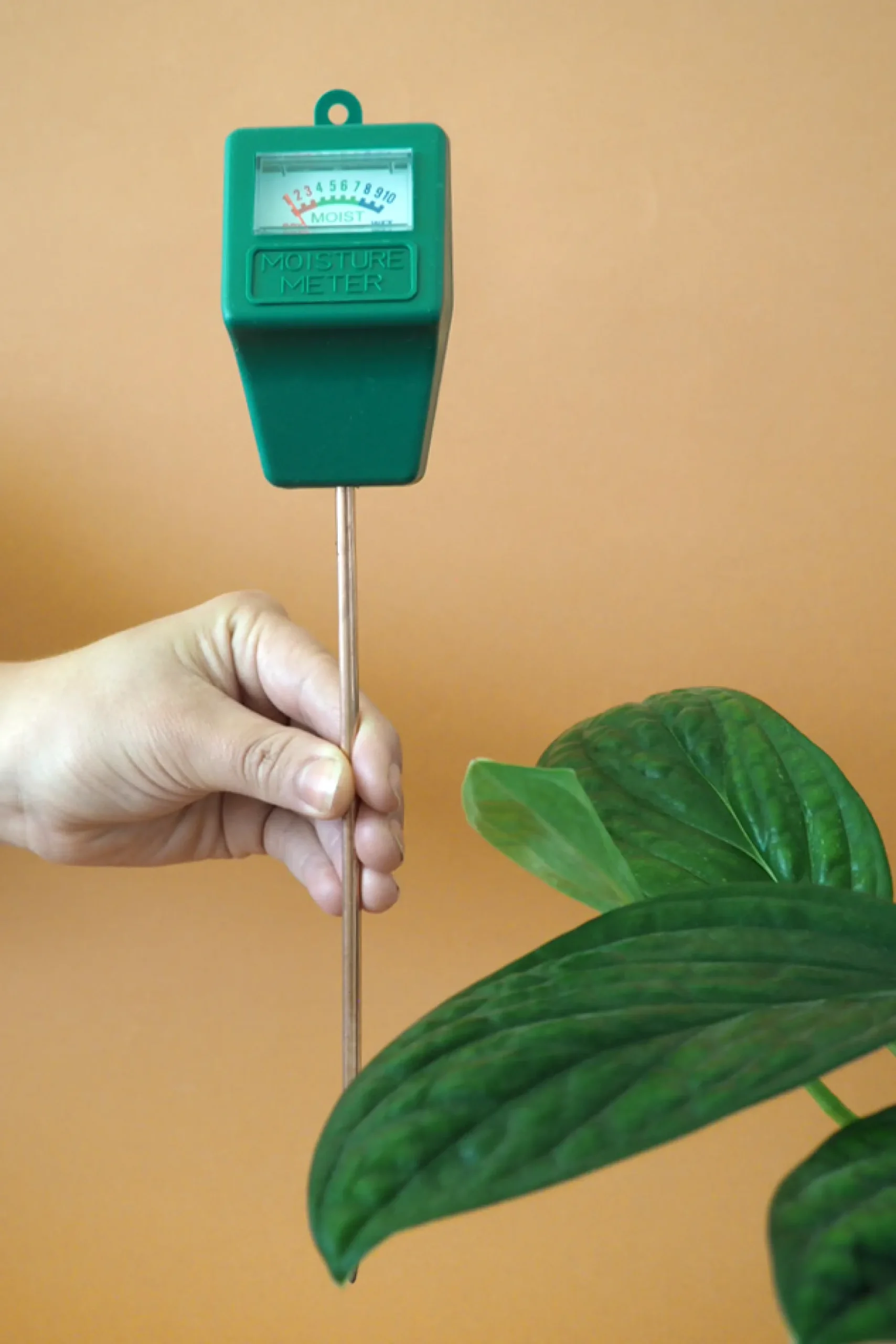 PLANT Fugtmåler Best