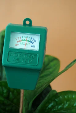 PLANT Fugtmåler Best
