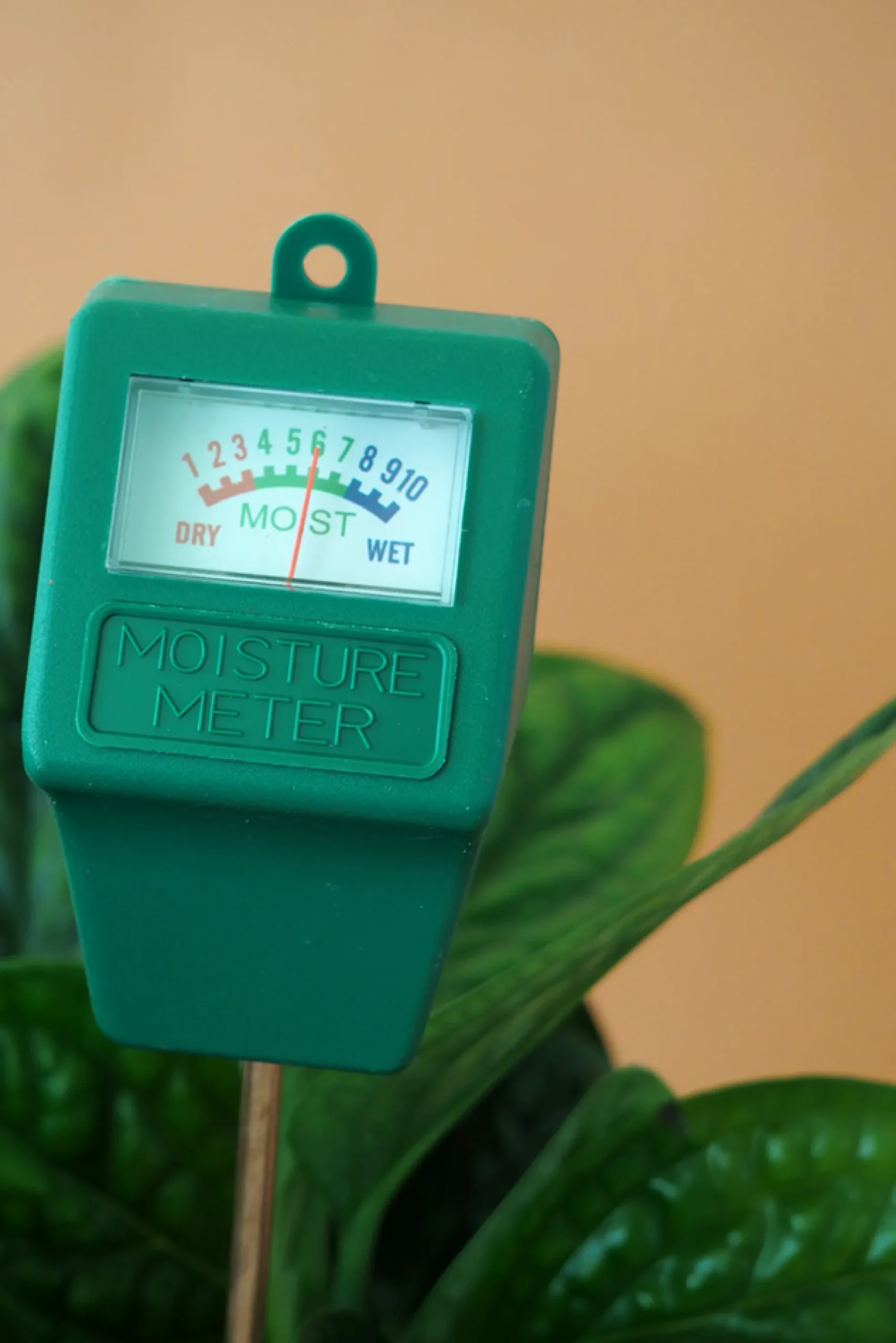 PLANT Fugtmåler Best