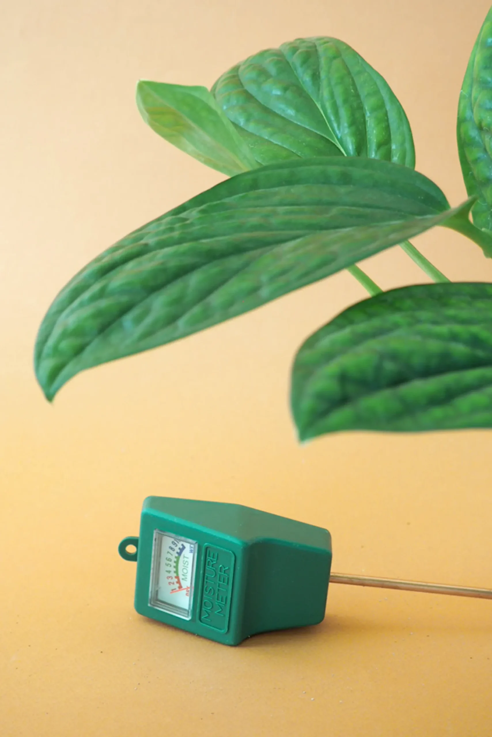 PLANT Fugtmåler Best