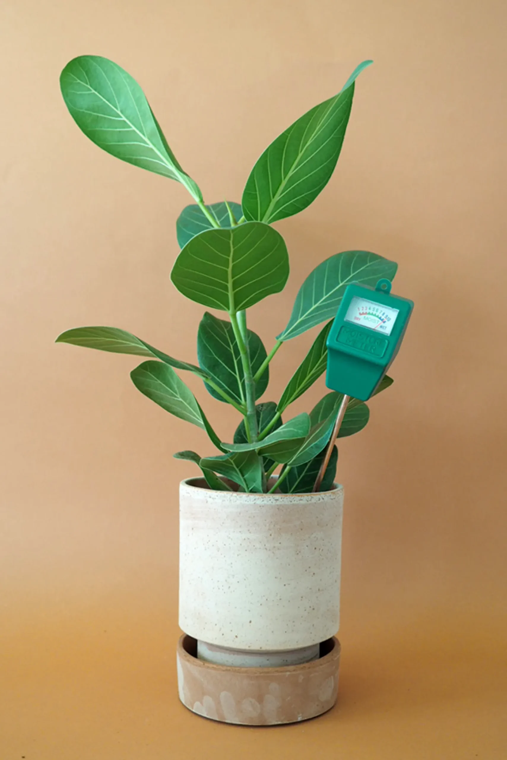 PLANT Fugtmåler Best