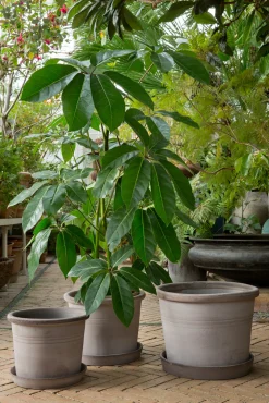 PLANT Galestro gulvkrukke, raw grey Online