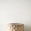 PLANT Gro krukke Hot
