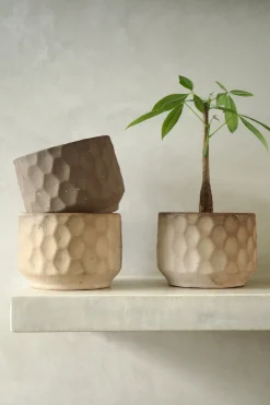 PLANT Gro krukke Hot
