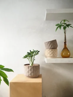PLANT Gro krukke Hot