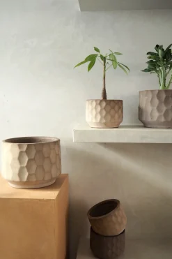 PLANT Gro krukke Hot