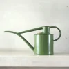 PLANT HAWS Vandkande, fern green, 1 L Clearance