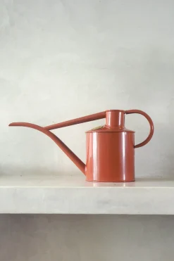 PLANT HAWS Vandkande, Terracotta orange, 1 L Online