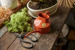 PLANT HAWS Vandkande, terracotta orange, 0,5 L Best