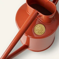 PLANT HAWS Vandkande, terracotta orange, 0,5 L Best