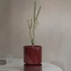 PLANT Hoff krukke, glaseret, Burgundy Best