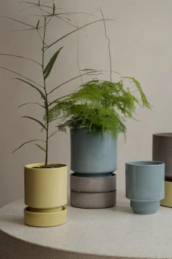 PLANT Hoff krukke, glaseret, Pale Yellow Discount
