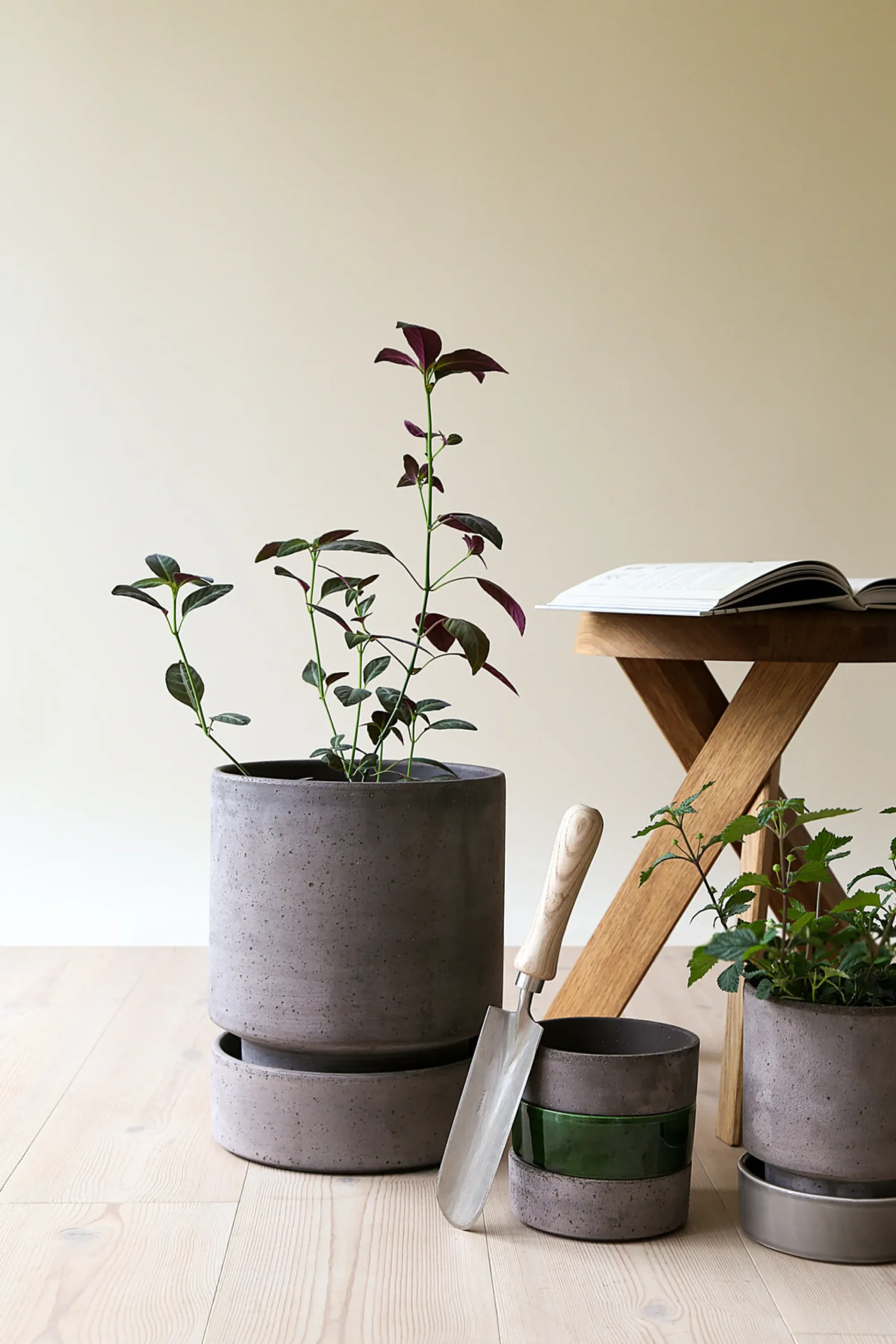 PLANT Hoff krukke, raw grey Online