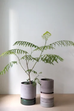PLANT Hoff krukke, raw grey Online