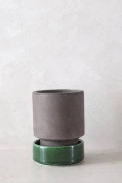PLANT Hoff krukke, raw grey + grøn underskål