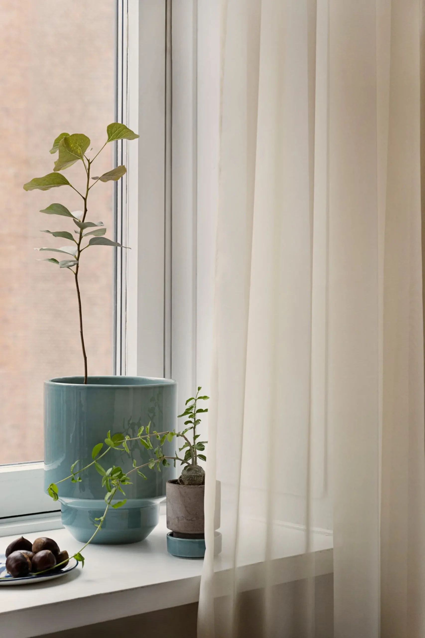 PLANT Hoff krukke, raw grey + Misty Blue underskål Outlet