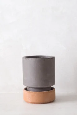 PLANT Hoff krukke, raw grey + raw rosa underskål Outlet