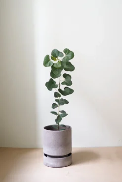 PLANT Hoff krukke, raw grey + raw grey underskål, gulvkrukke Best